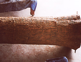 FRP���[�؁i���ʂ��j