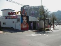 �p�[�����}�T�L�O��