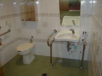 �Ⴊ���җp�g�C��