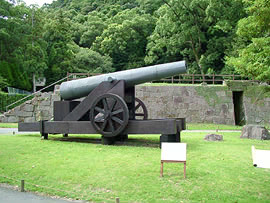 �񍆘F �Ί_ �� ��C