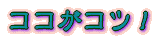 ココがコツ!