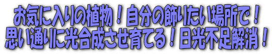 フラワーショップ江口-マイプラント