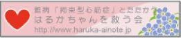 �������s�@�͂邩�������~����