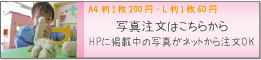 �ʐ^����
