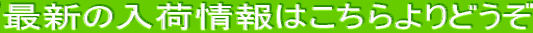 ŐV̓׏͂ǂ