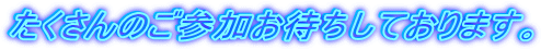 ̂Q҂Ă܂B