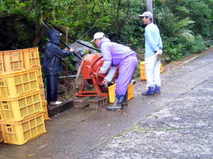 洗い作業