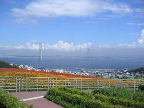 �X���X��