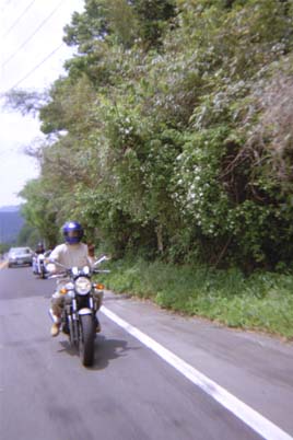 �q�w�i�q�̐l���S���I