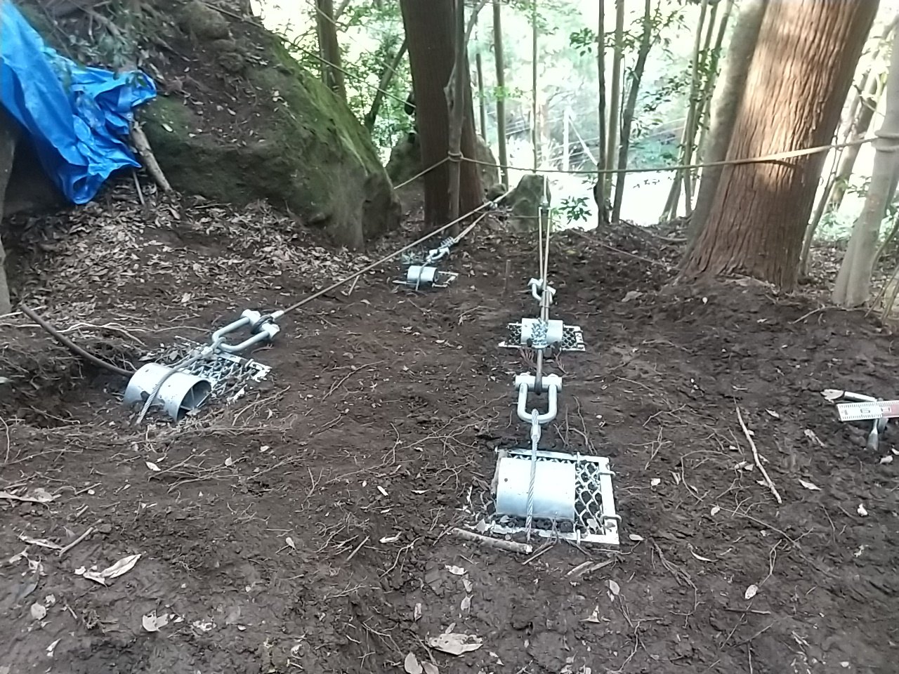 表示できません