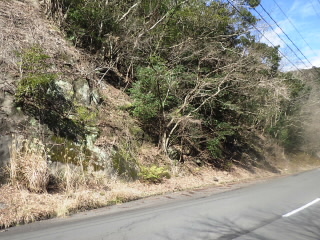 20200215144749-Yamashita.jpg
