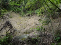 20200603143206-Uto.jpg