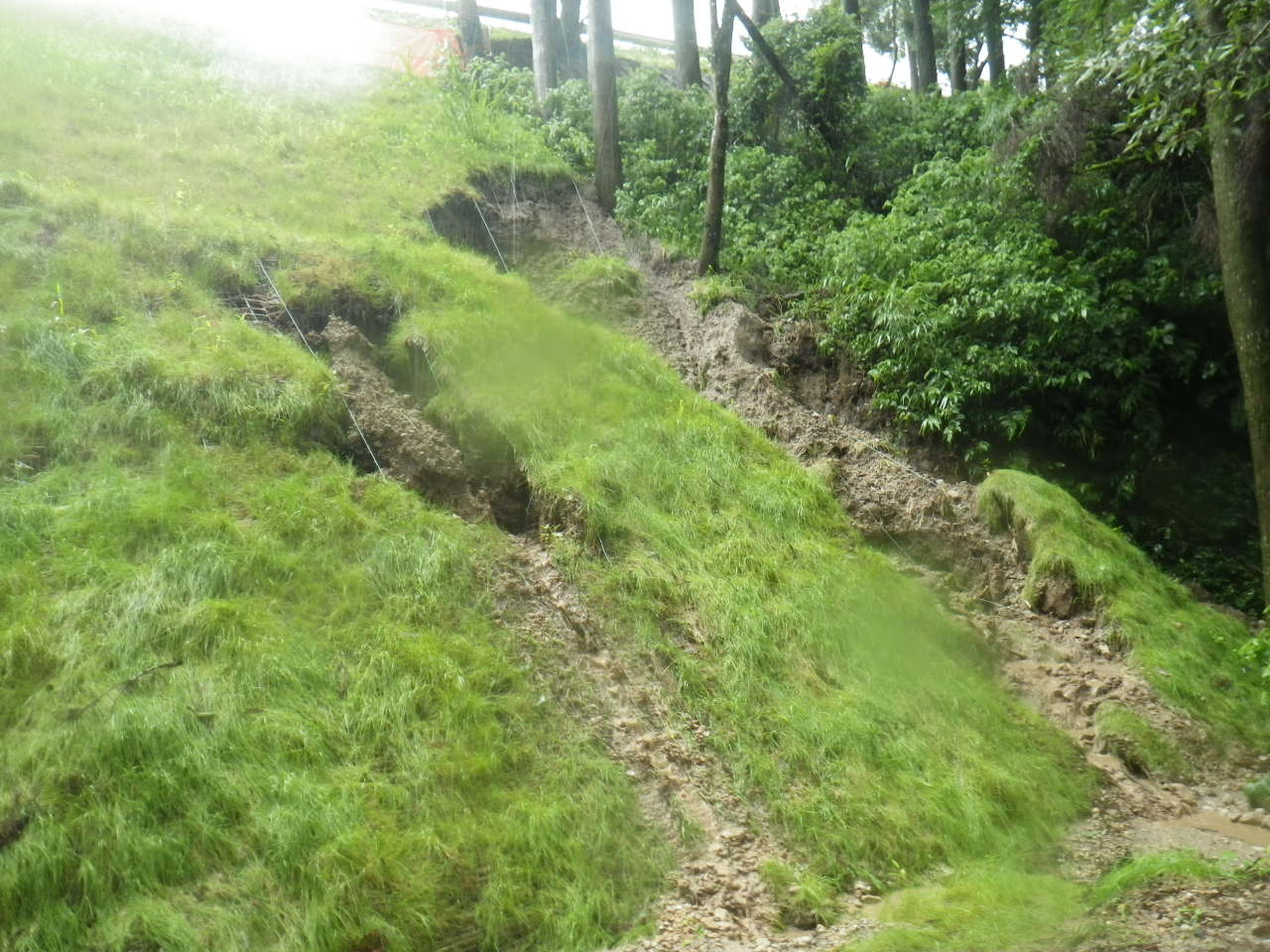 20200716141636-taira.jpg