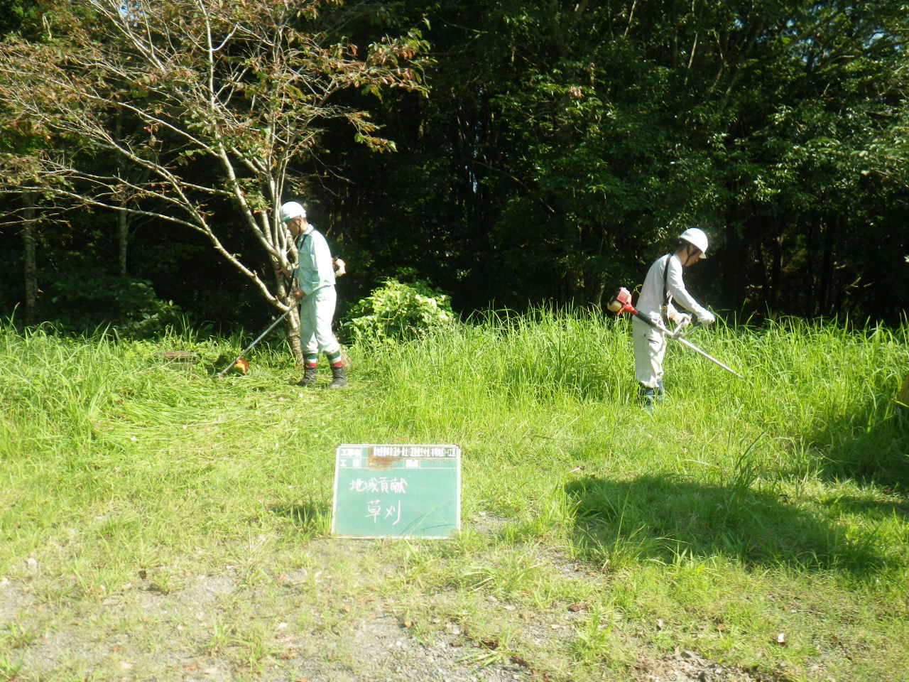 202008101553481-taira.jpg