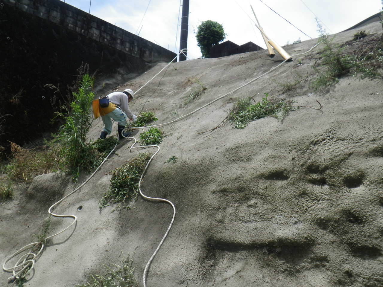 20200811121730-taira.jpg