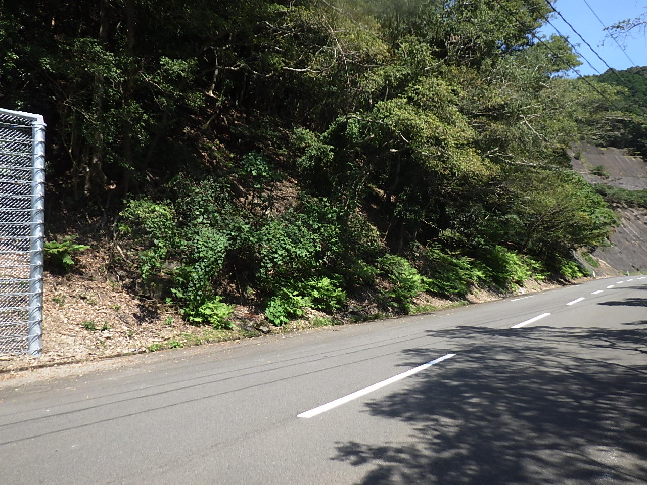 20201008215210-Yamashita.jpg