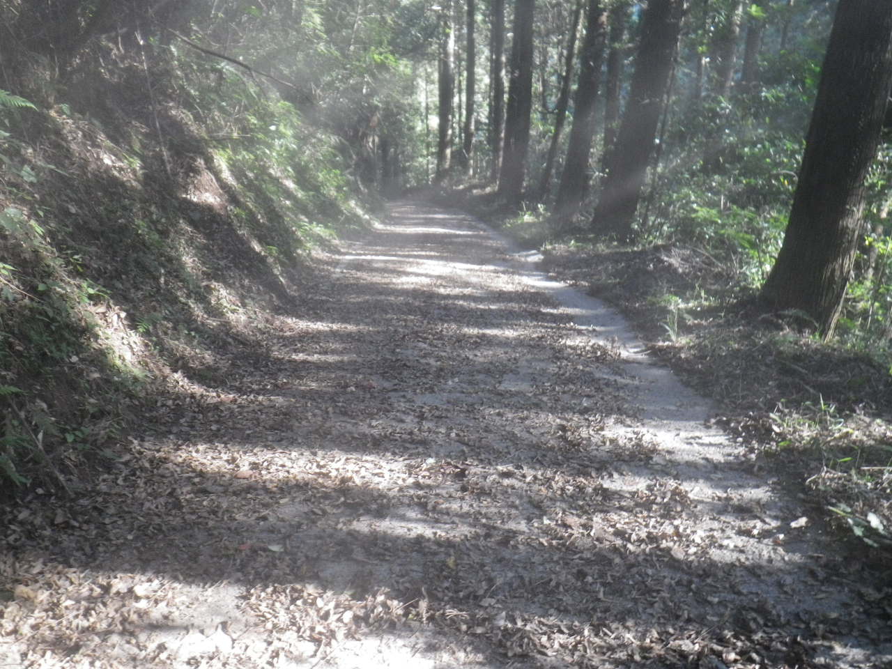 202010271659591-taira.jpg