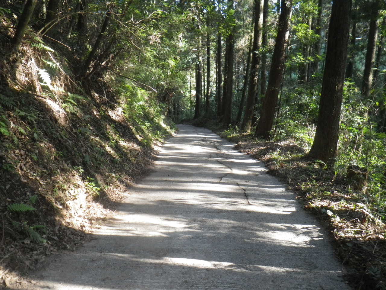 202010271659593-taira.jpg