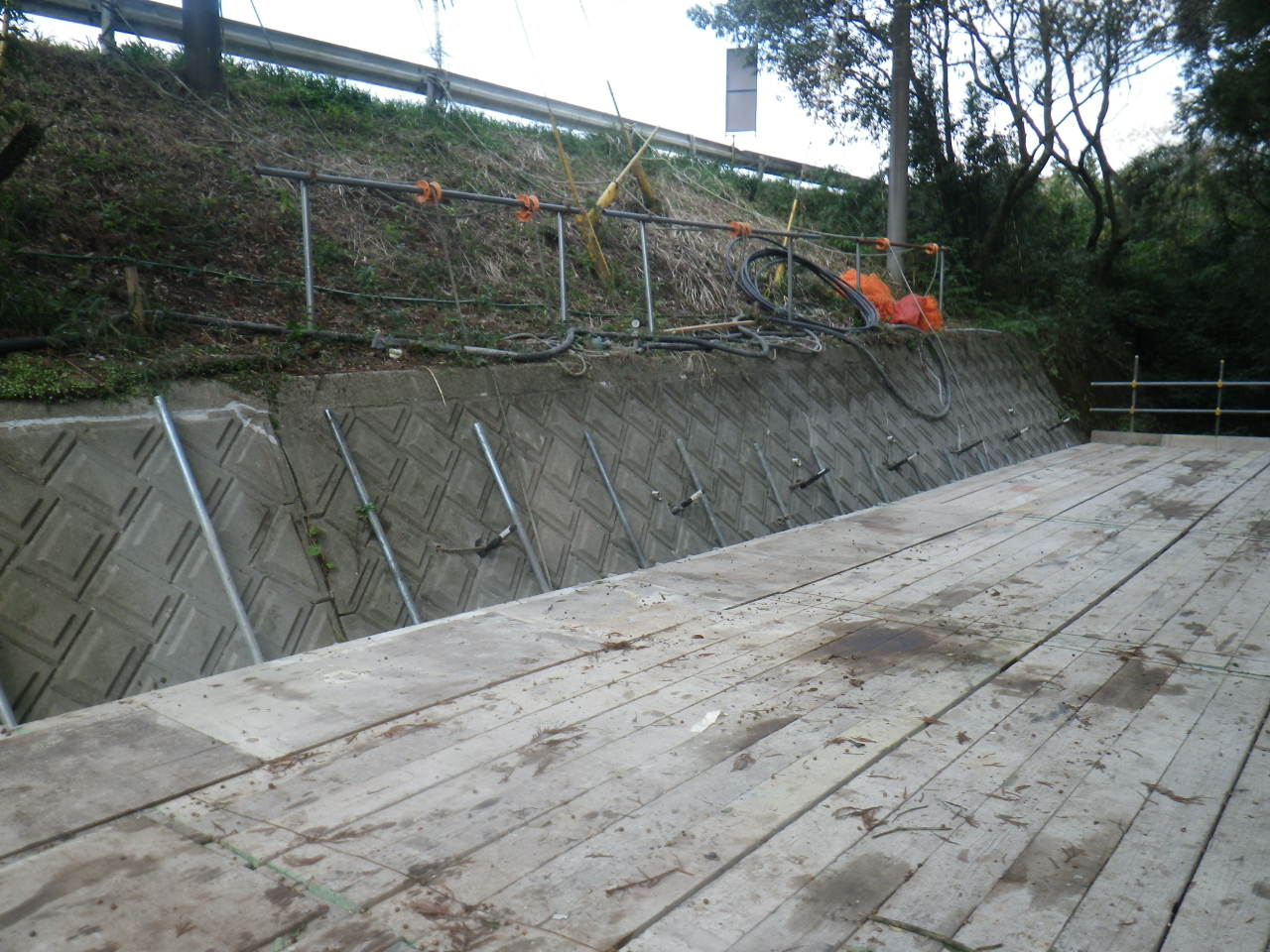 202011250711221-taira.jpg
