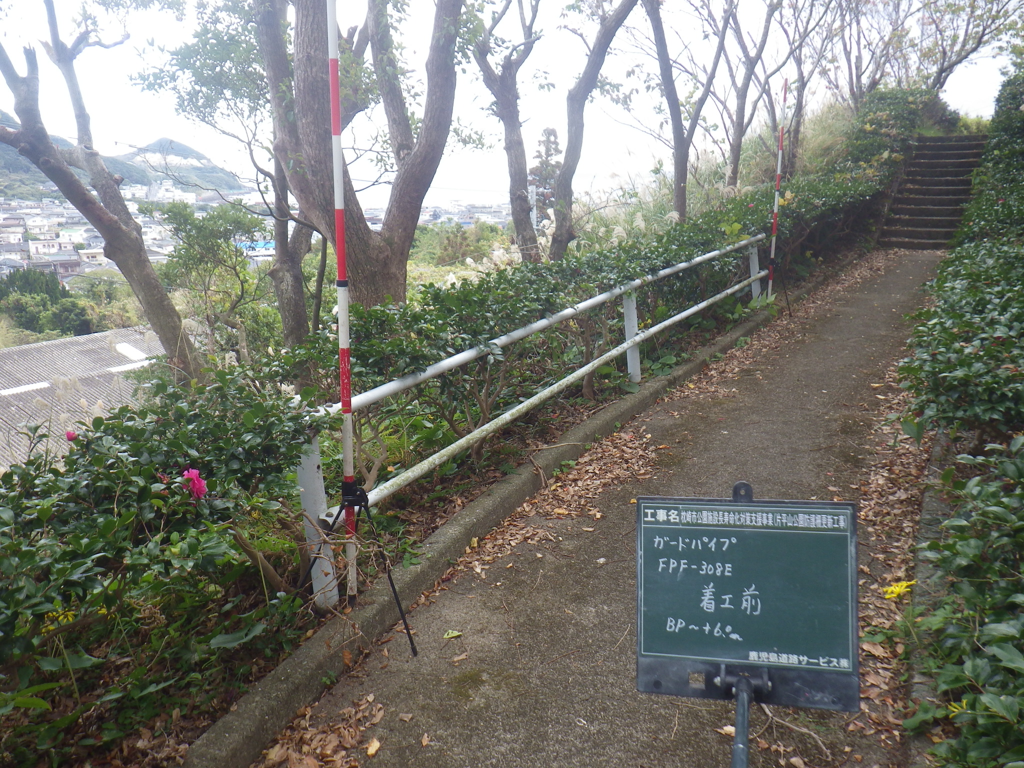 202012191318391-Yamashita.jpg