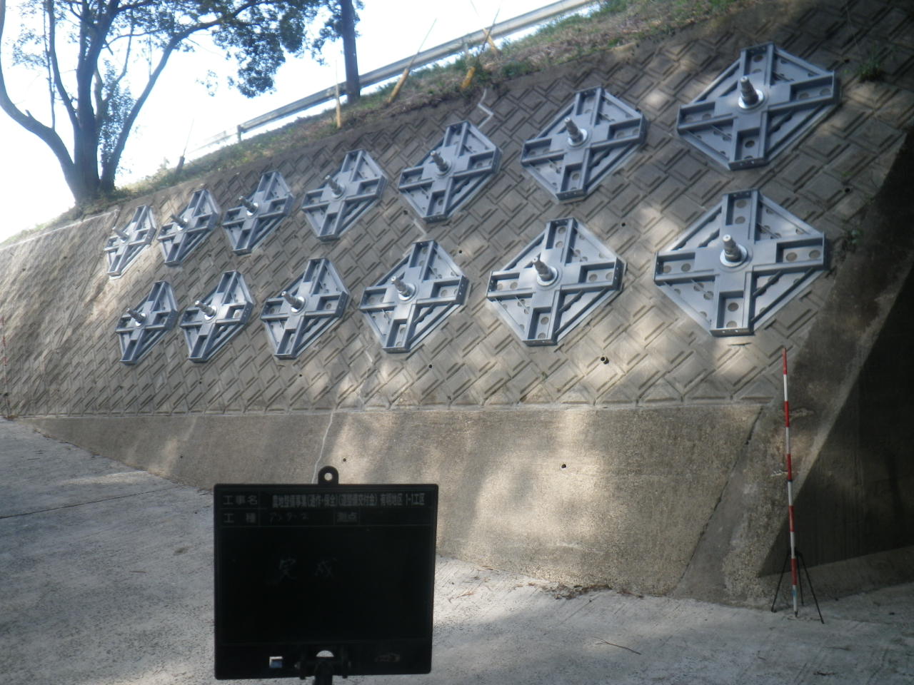 202012240023411-taira.jpg