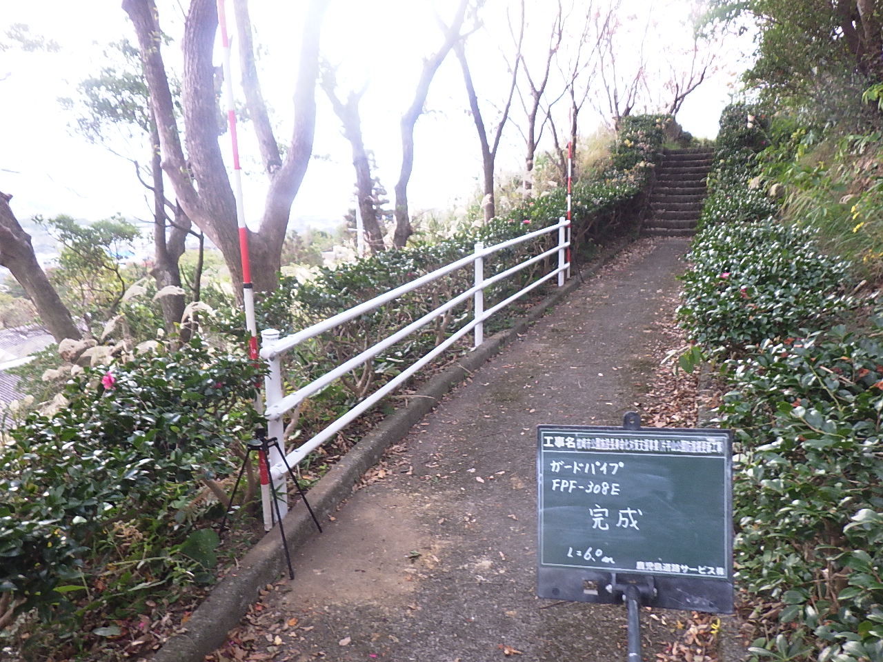 202101070709011-Yamashita.jpg