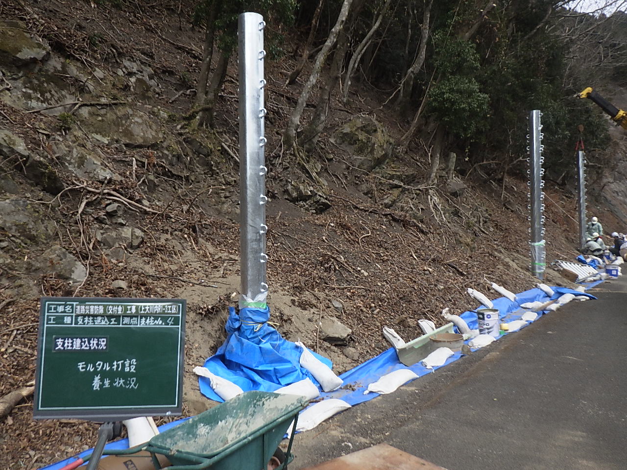 202101231146022-Yamashita.jpg