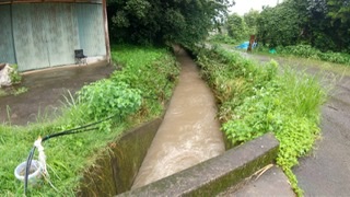 202201080213081-yokoyama.jpeg