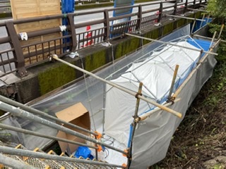 202201080229232-yamamoto.jpeg
