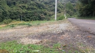 202201080248441-yokoyama.jpeg