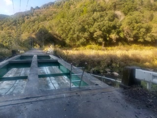 202201080325511-yokoyama.jpeg