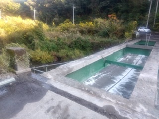 202201080325512-yokoyama.jpeg
