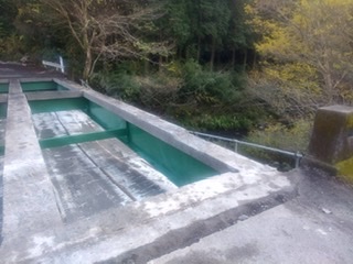 202201080325513-yokoyama.jpeg