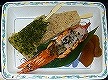 ファイル 18-5.jpg
