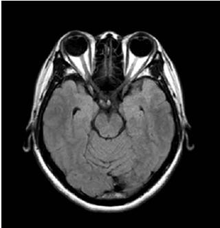 ファイル 46-2.jpg
