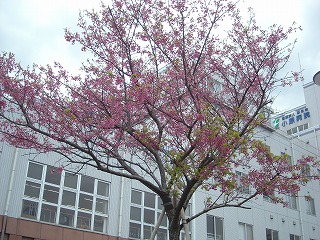 ファイル 72-2.jpg