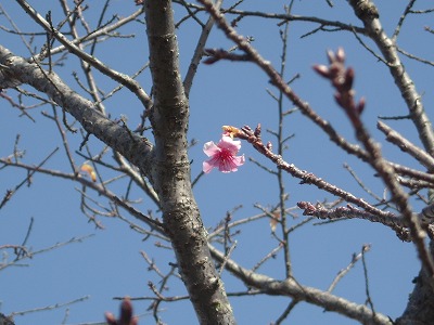 ファイル 87-3.jpg